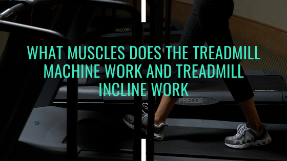 What Muscles Does The Treadmill Machine And Treadmill Incline Work